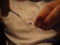 Clouser Minnow