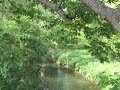 Video Postcard.    LITTLE PONTON. - pc14