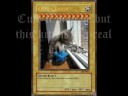 Kitten Yu-Gi-Oh Booster Pack