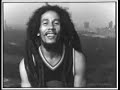 Bob Marley - Hotel California (Reggaemix)