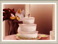 shadouge and i don't own anything i thought this would be a great song for shadouge :3