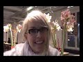 Introfilm, bloopers - Pigghaj-Galan