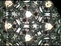 Camera Kaleidoscope