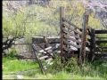 Alamo, Canyon, Corral Organ, Pipe, Cactus ...