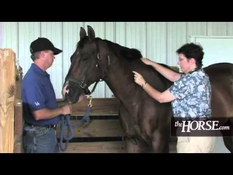 how to assess hydration status