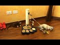 video-divertenti-paperissima-ciciona-in-moto.html