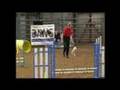 Inspiring Dog Video - Tribute to Lisa & Diva