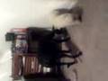 paco & lola eating