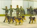 EJERCITO - REPUBLICA ORIENTAL DEL URUGUAY