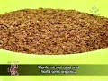 programa mulheres   horta  semi orgânica parte 1 de 4