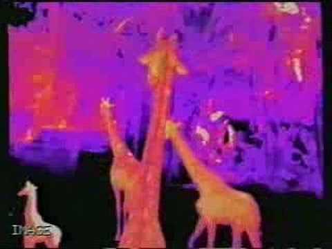 Infrared - More Than Your Eyes Can See