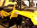 Can-AM 800 w/ 18\" Lift @ Busco Beach Can-AM 800 w/ 18\" Lift @ Busco Beach