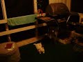 rabbit massage