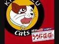 KISARAZU Cat\