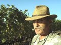 Mountain Harvest- Deerfield Ranch Winery Video