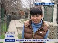 Ведмежата вийшли у світ