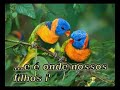 Meio Ambiente Meio Ambiente