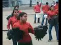 banda del tavera 2