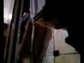 videos de LILY 13FT RETICULATED PYTHON