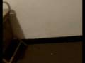 videos de Inventario piso Carrer Banys Nous 15 3Âº2Âª, Barcelona