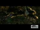 Demons Deathwish  -Trailer-