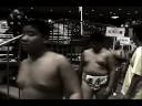 Sumo-adolescente