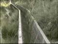 videos de Agua