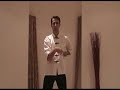 Siu Lim Tao by Sifu Dusan Drazic
