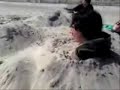 Karate beach Burrial P1