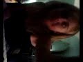 demo