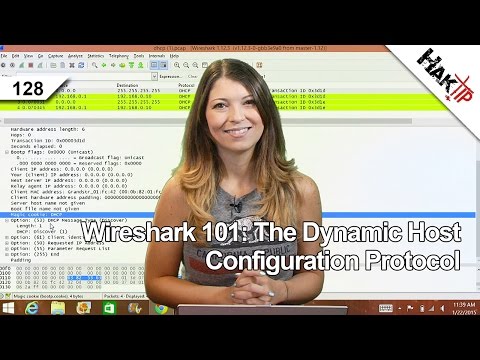 how to check dhcp discover