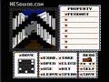 www.nesguide.com