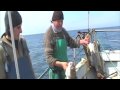 Manolo Excursiones - Excursiones de pesca embarcados a Mar del Plata - Septiembre 2009