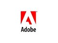 Adobe Interactive Installation