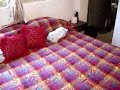 tuproxima_080806