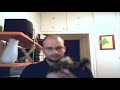Ben the Cat