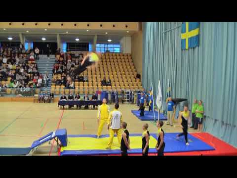 JSM 2008 Hopp Brommagymasterna