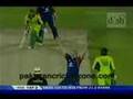 Kevin Pieterson hilarious lbw appeal