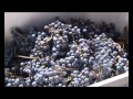 Micro 02/2012 - Vinos de Tucumán