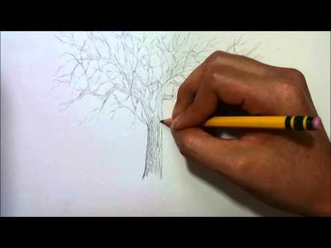 how to draw leaves on a tree