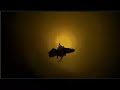 V�deo God Of War: Chains Of Olympus Trailer for PSP