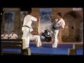 Tameshiwari - Sensei Terziev