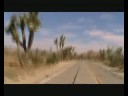 J2-01 : Joshua Tree (Mojave Desert)