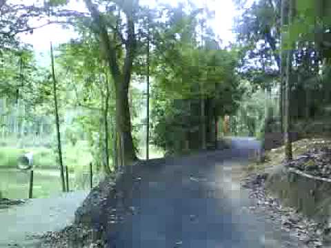 2009/05/17 嘉義縣中埔鄉豐山生態園區 Feng-shan,Chiayi County,Taiwan
