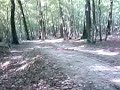 VTT  mercier bix