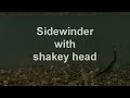 Sidewinder by Stanley Jigs
