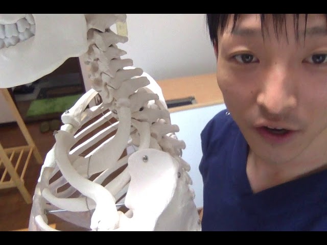 腕のしびれを緩和したければ、肋骨の動きを出せ！