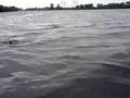videos de Robert drillt meter snoek