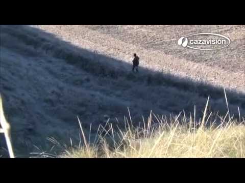 Caza menor en Perales de Tajuña. Caza menor en Perales de Tajuña.
