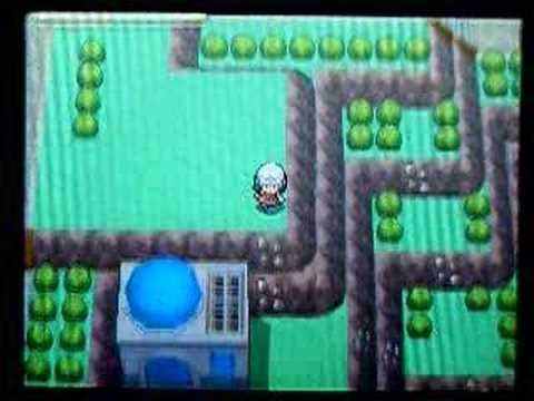 ポケットモンスターダイヤモンドパール-213番道路(曇り)  Route213(crowdy)